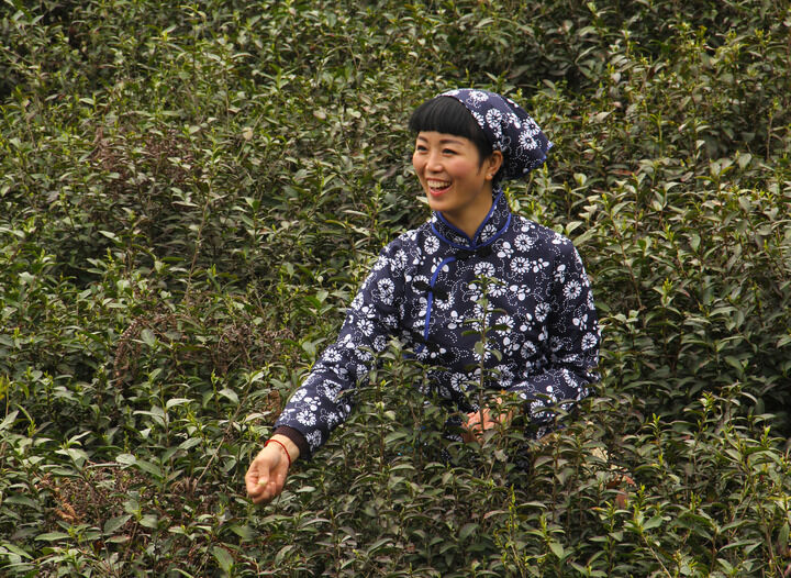 热门4
